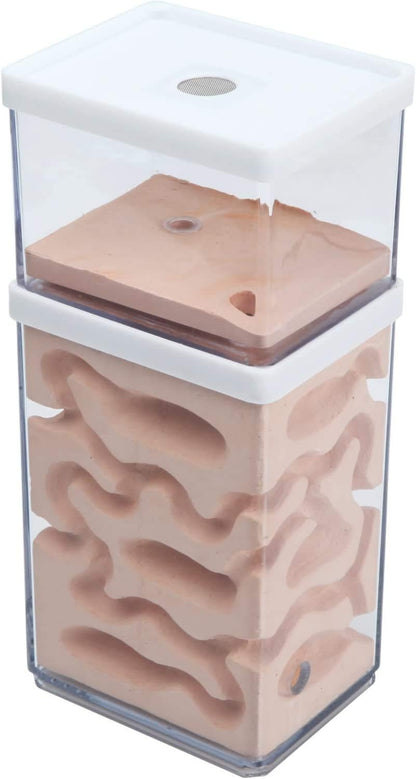 Ecological Ant Nest Farm, Ant Castle Ant Formicarium, Transparent Ant House Plaster Ant Nest, Ant Workshop Insect Villa Ant Feeding Box for Ants Study Science Experiment Gift