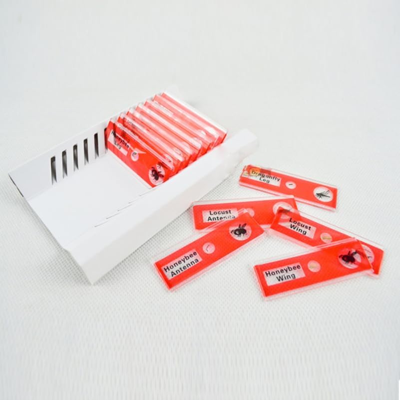 Gatuida Kids Microscope Accessories 12pcs Plastic Slides Prepared Specimens Set
