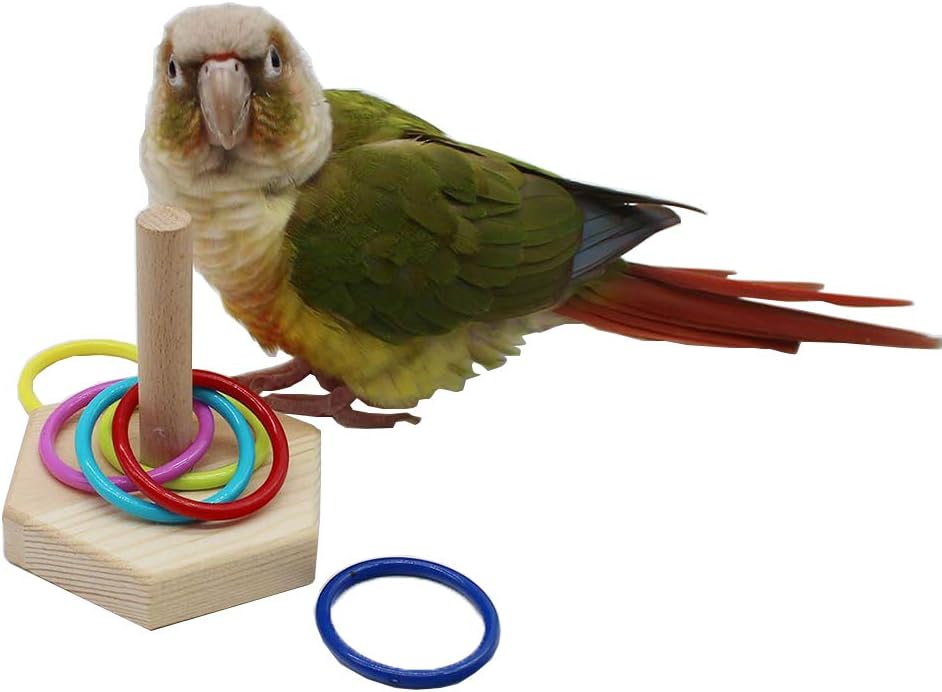QBLEEV Bird Training Ring Toy, Parrot Trick Tabletop Toys, Educational Stacking Color Rings, Cage Toys