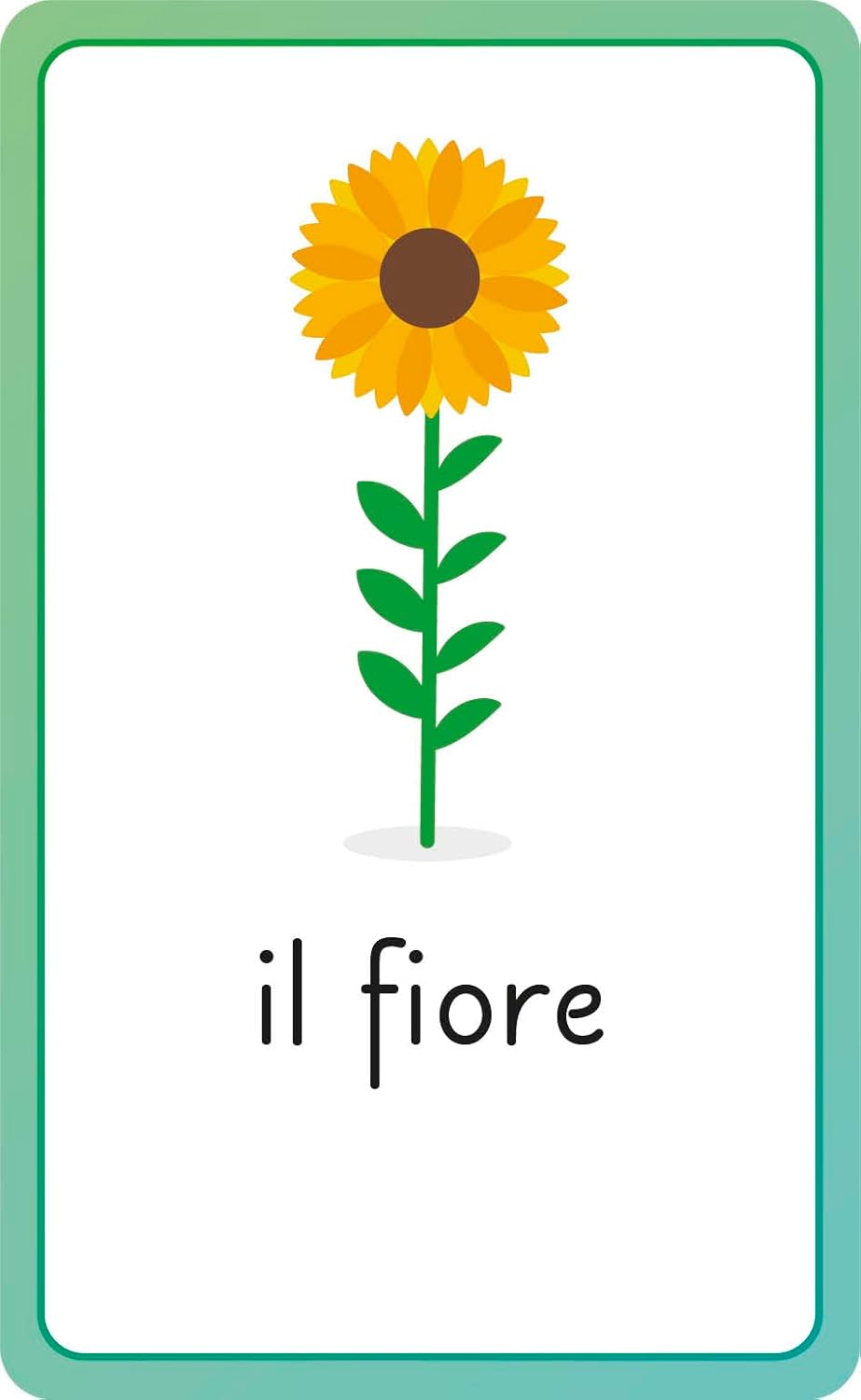 Italian for Everyone Junior First Words Flash Cards