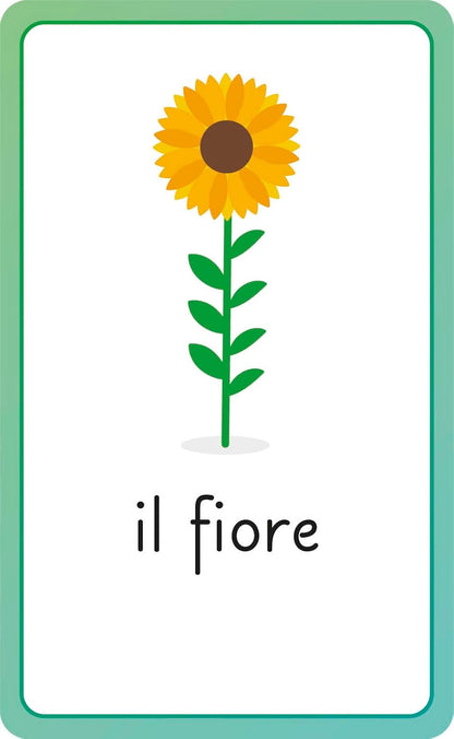 Italian for Everyone Junior First Words Flash Cards