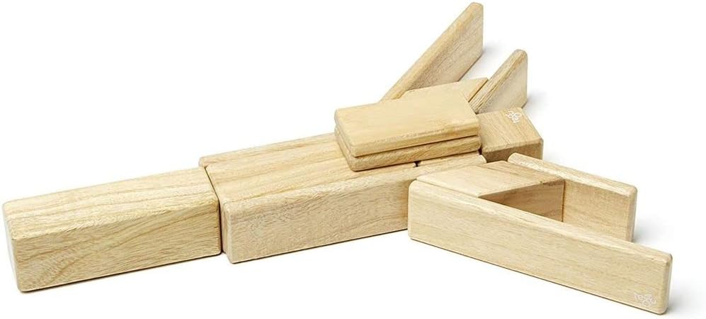 14 Piece Tegu Magnetic Wooden Block Set, Blues