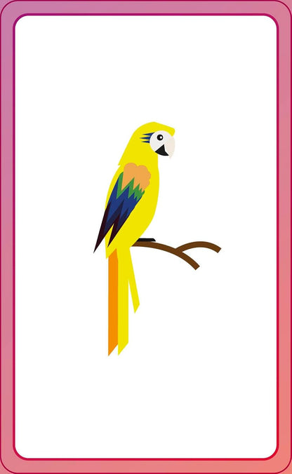 English for Everyone Junior First Words Animals Flash Cards