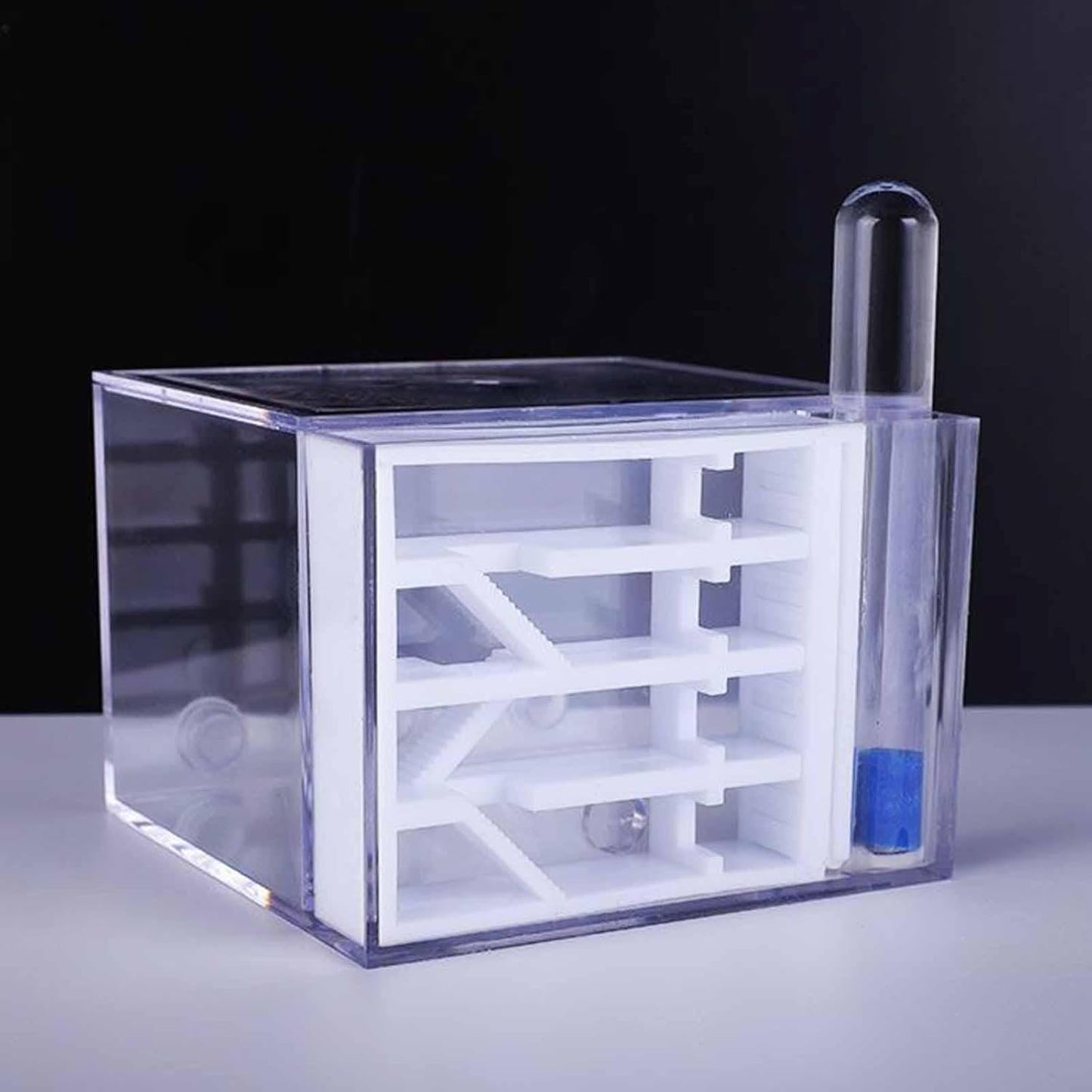 ANT Farm Study DIY Supplies ANT Habitat for Decor Children's Day Birthday