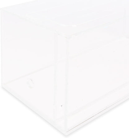 AntHouse Sand Ant Farm - Educational formicarium for Live Ants