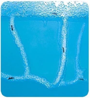 Blue Mini Gel Ant Farm (1) Reality Show 24/7 365
