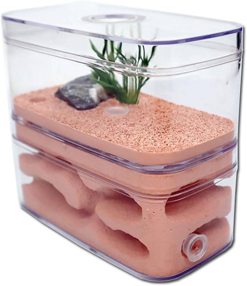 YKLL Ant Farm Highly Moisturizing Ant Nest Ant Farm Plaster Insect Box Pet Anthill Castle Natural Ecological Workshop Ant House 12 * 6 * 10cm Unique Gifts