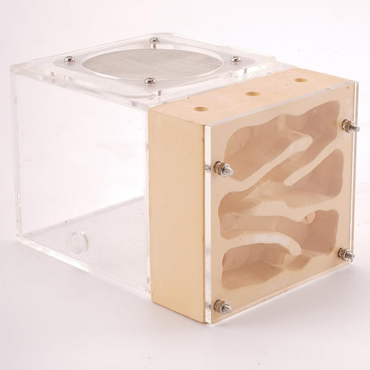 Ant Nest Farm Made with Gypsum for Adult for Living Queen Ant Colony Formicarium
