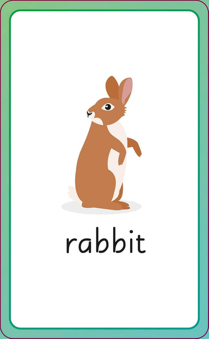English for Everyone Junior First Words Animals Flash Cards