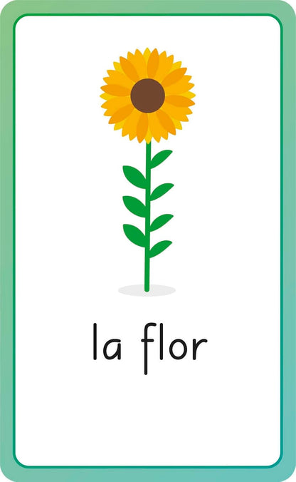 Spanish for Everyone Junior First Words Flash Cards
