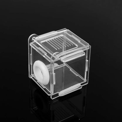 Nest Ants Farm House Glass Tubes Nest Nest Acrylic Farm Gifts For Kids