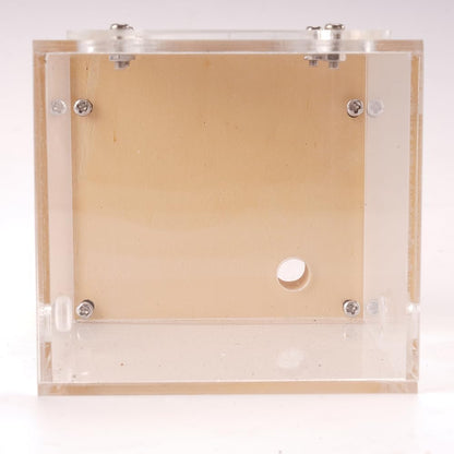 Ant Nest Farm Made with Gypsum for Adult for Living Queen Ant Colony Formicarium