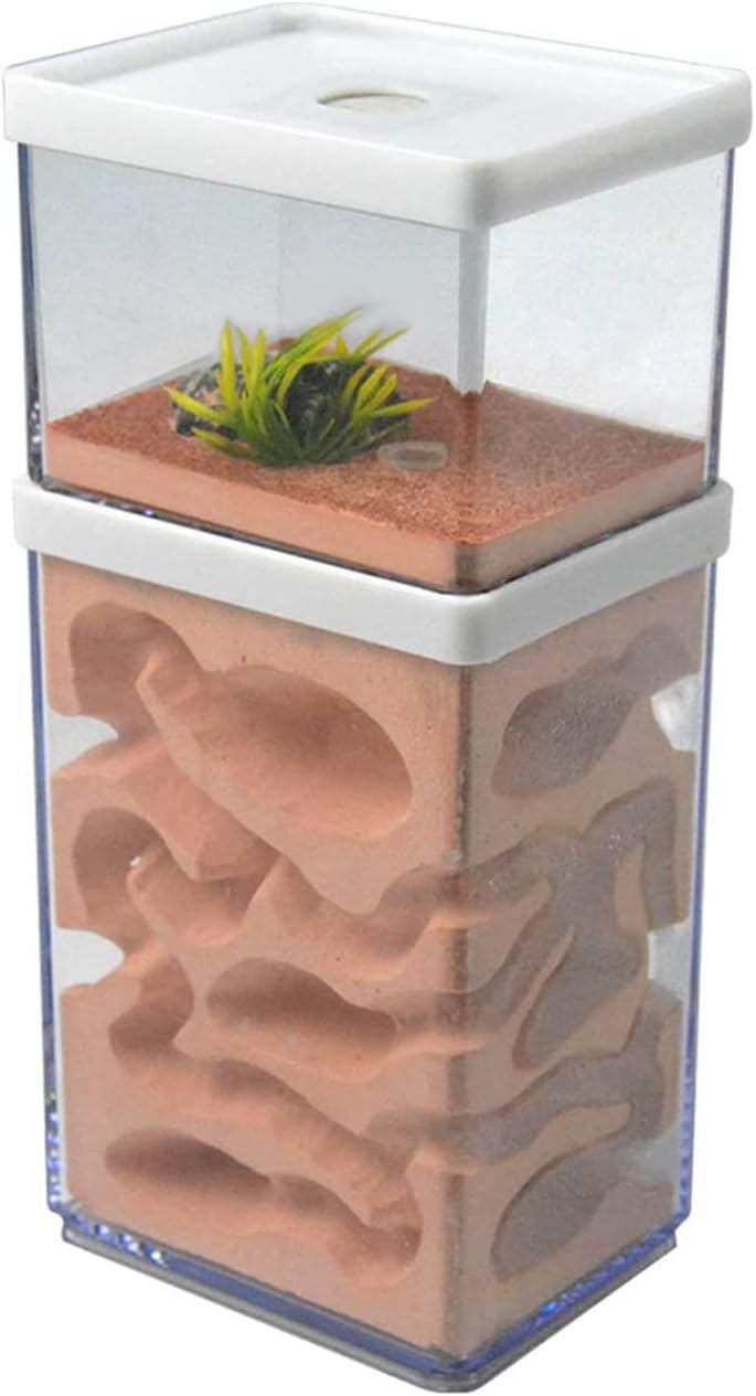 Ecological Ant Nest Farm, Ant Castle Ant Formicarium, Transparent Ant House Plaster Ant Nest, Ant Workshop Insect Villa Ant Feeding Box for Ants Study Science Experiment Gift