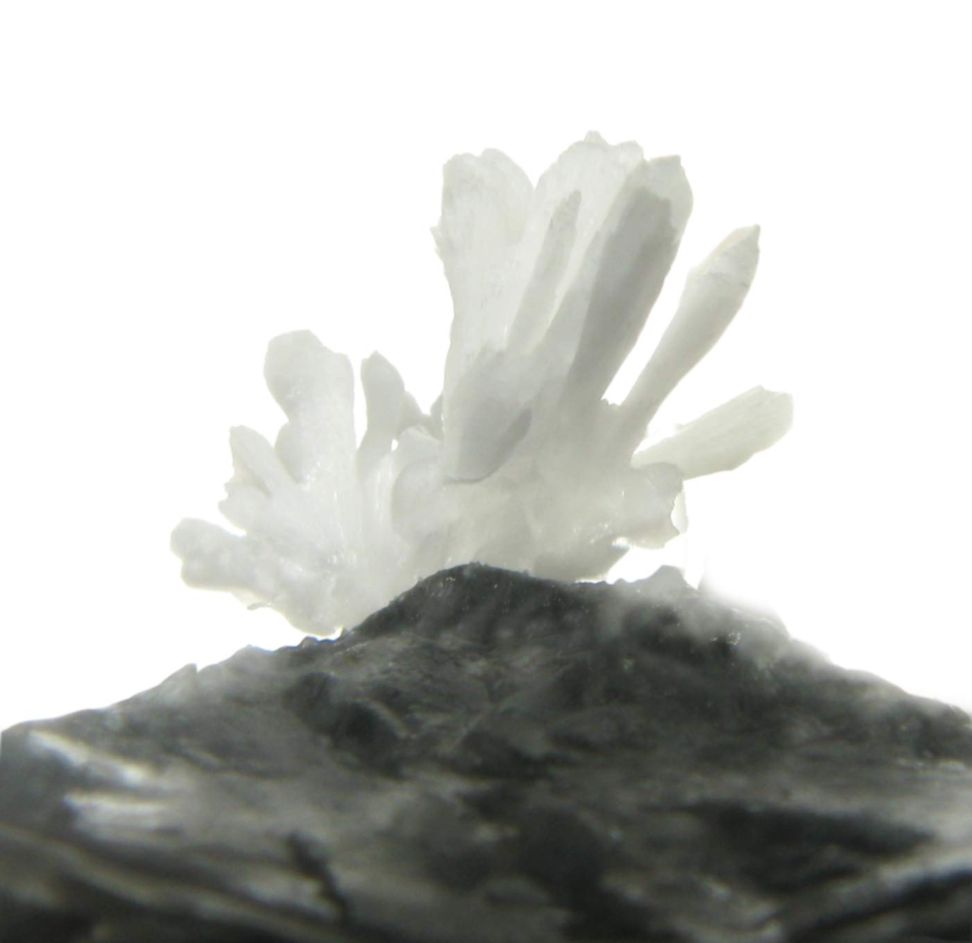 American Educational Products 2971 Explore with Me Geology - Growing Rock Crystals Labless lab Kits, 8" Height, 8" Wide, 8" Length