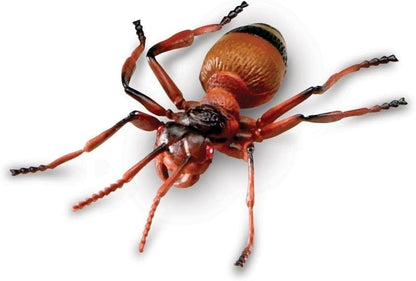 Learning Resources Jumbo Insects - Animal Toys for Kids, Toddler Preschool Science, Fine Motor Skills, Gifts for Boys and Girls, Ages 3+