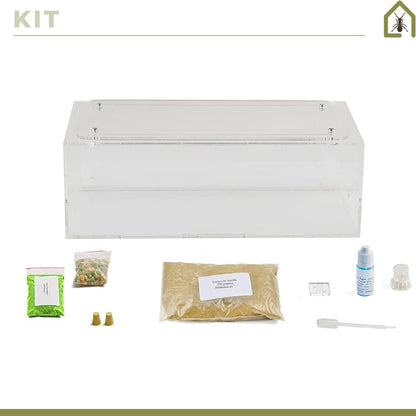 AntHouse - Natural Sand Ant Farm | Acrylic Big Starter Kit | Educative Ant Hill | 11.81 x 5.91 x 3.94 in