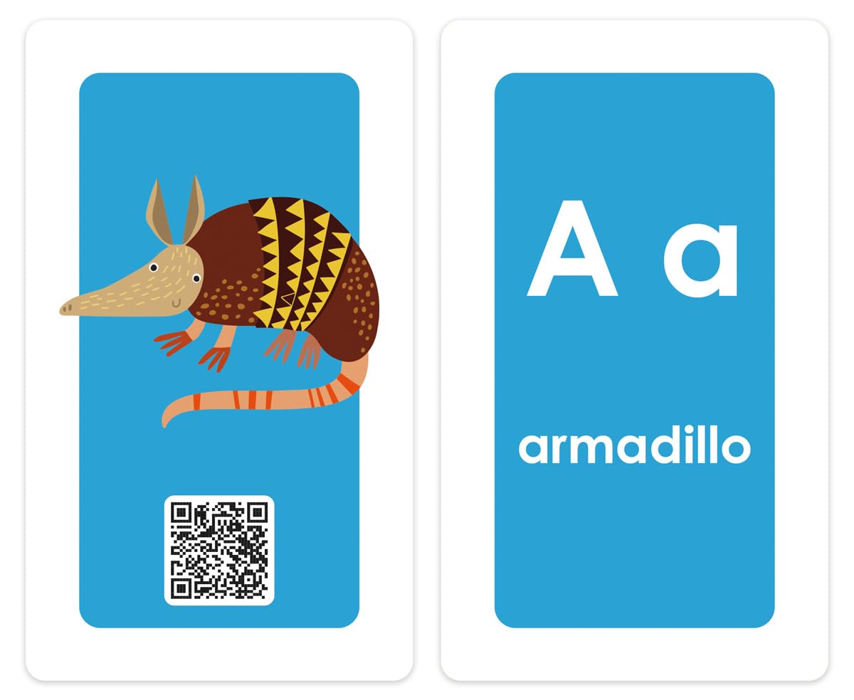 FLASH CARDS: ALPHABET FUN