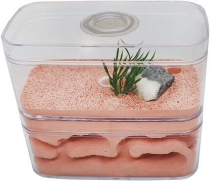 YKLL Ant Farm Highly Moisturizing Ant Nest Ant Farm Plaster Insect Box Pet Anthill Castle Natural Ecological Workshop Ant House 12 * 6 * 10cm Unique Gifts
