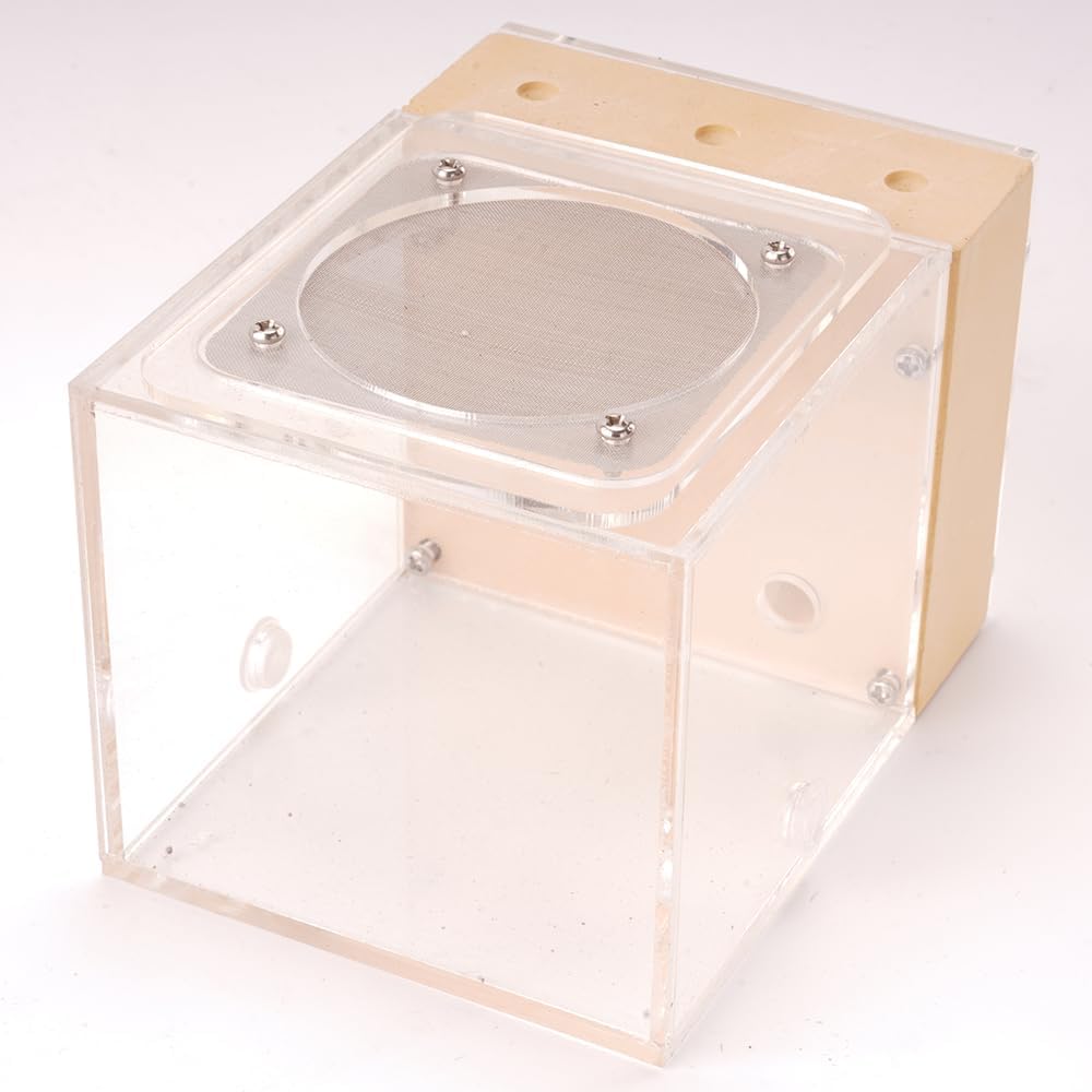 Ant Nest Farm Made with Gypsum for Adult for Living Queen Ant Colony Formicarium