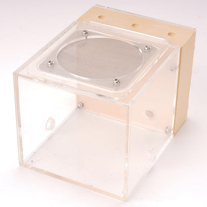 Ant Nest Farm Made with Gypsum for Adult for Living Queen Ant Colony Formicarium