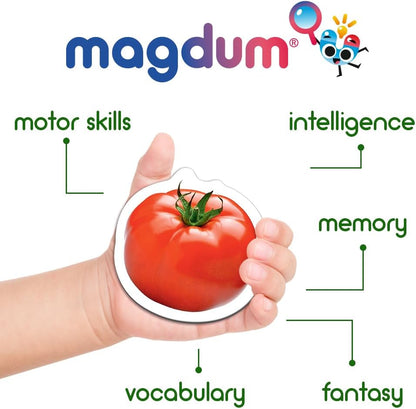 Solar System Fridge Magnets for Kids - Magdum - 22 Realistic Space Magnets for Toddlers - Real Refrigerator Magnets - Planets for Kids – Magnetic Universe - Science Toys for Children - Astronomy Gifts