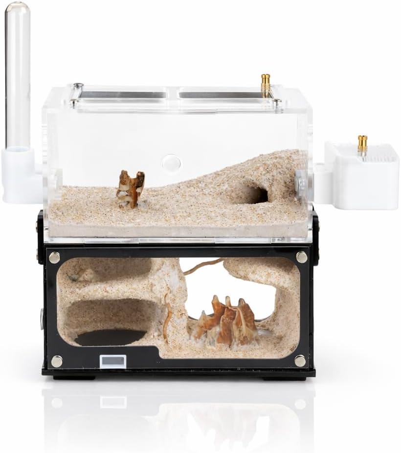 Ant Farm for Adults Study of Ant Behavior Ant Nest ant Terrarium Educational Formicarium for Live Ants and Queen,Cave Style Landscapes