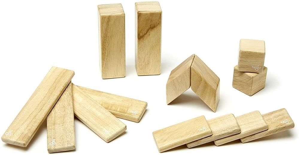 14 Piece Tegu Magnetic Wooden Block Set, Blues