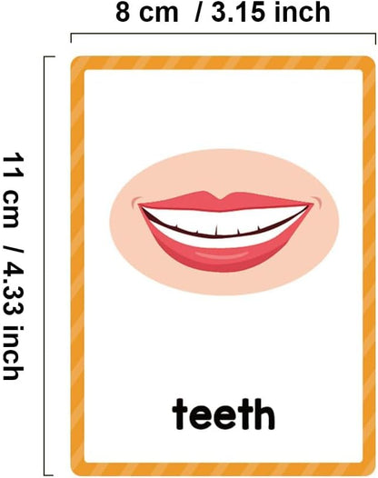 Lachilly Number 1-100 English Flashcards, High Frequency Words, Kindergarten ESL Teaching Materials, Autism Learning Materials, Vocabulary Building, 15 Cards 28 Words