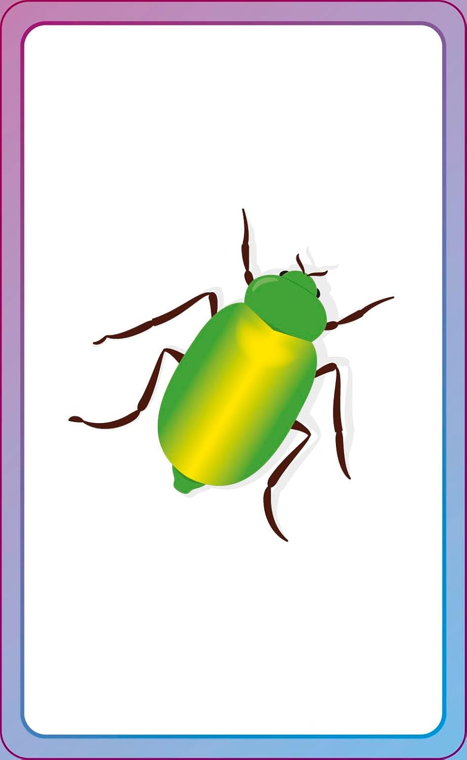 English for Everyone Junior First Words Animals Flash Cards