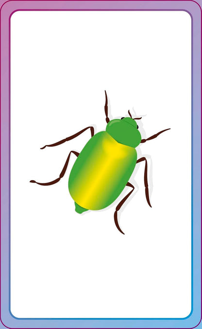 English for Everyone Junior First Words Animals Flash Cards