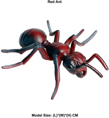 Realistic Animal Figures Red Ant Figurines Insect Toy, Science Project, Cake Topper, Early Educational Toys Birthday for Toddlers Kids Age 3 4 5
