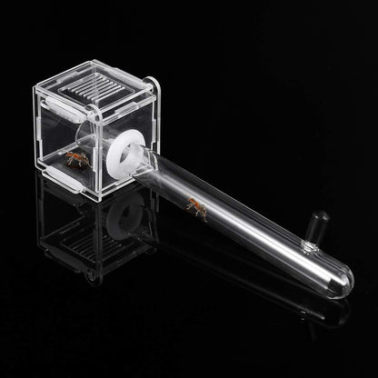 Nest Ants Farm House Glass Tubes Nest Nest Acrylic Farm Gifts For Kids