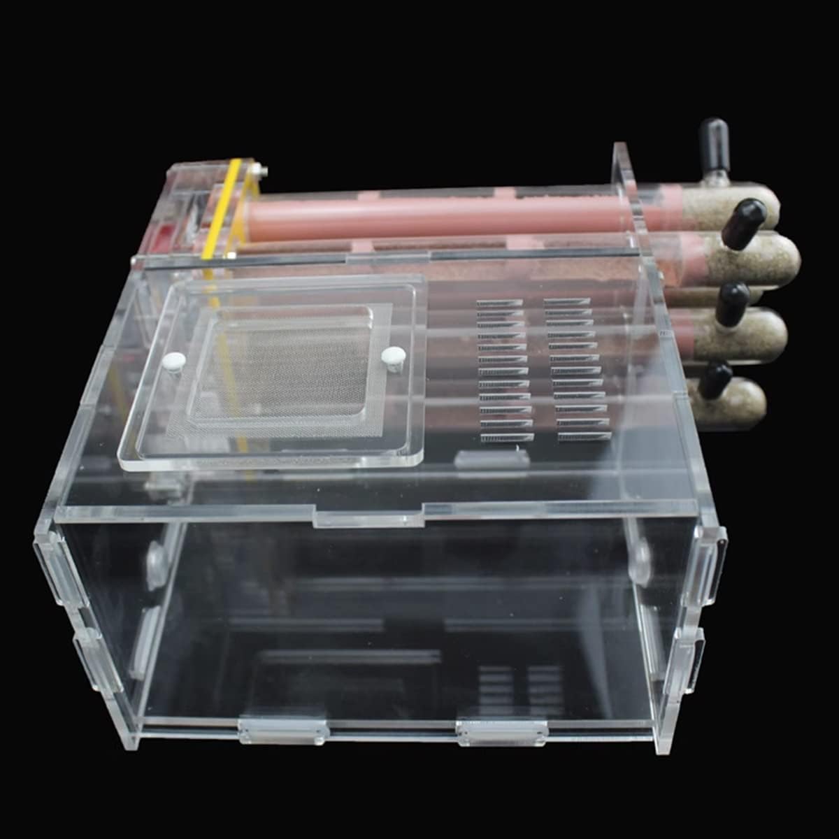 KXCR Ant Farm 6 PCS Bamboo Test Tube Ant Nest DIY Acrylic Ant House Feeding Area Farm Pet Anthill Workshop Ecological Ant Breeding Castle Moisturize Villa Ants Observation Science (Color : A)