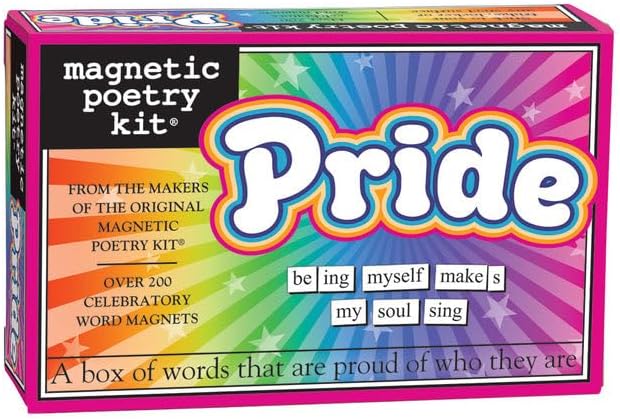 Bitch-Magnetic Poetry Kit