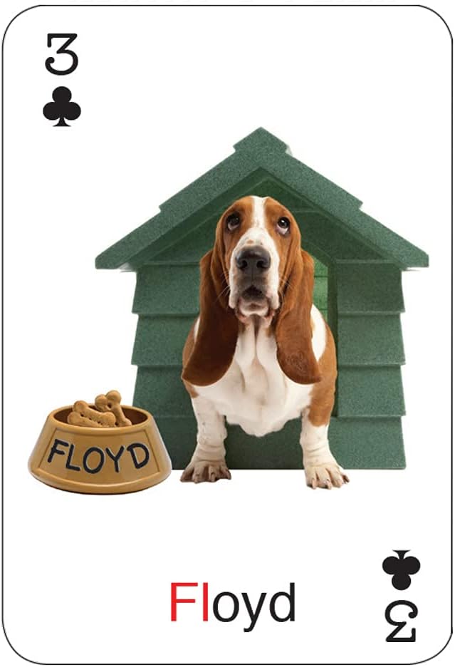 Super Duper Publications | Tiny Talk Articulation and Language L Blends Sound Photo Flash Cards | Educational Resource for Children