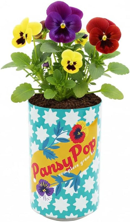 BUZZY Seeds Flower Grow Kit 6-Pack – Pansy, Lavender & Daisy Soda Cans with Seeds, Growing Medium & Liners – Fun DIY Indoor Gardening Party Favors & Gift Set