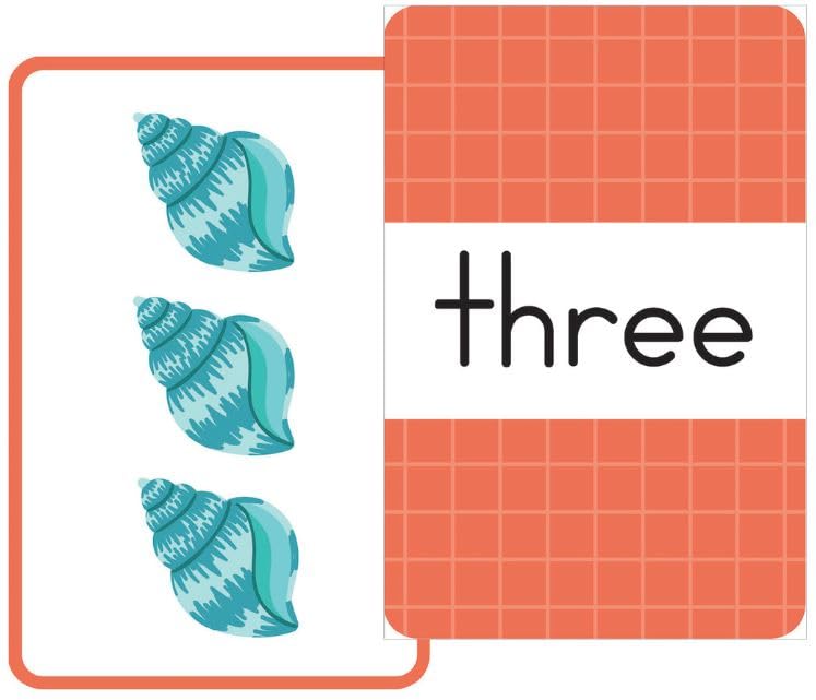 Counting Flash Cards: Numbers 0―20 (Flash Card Series)