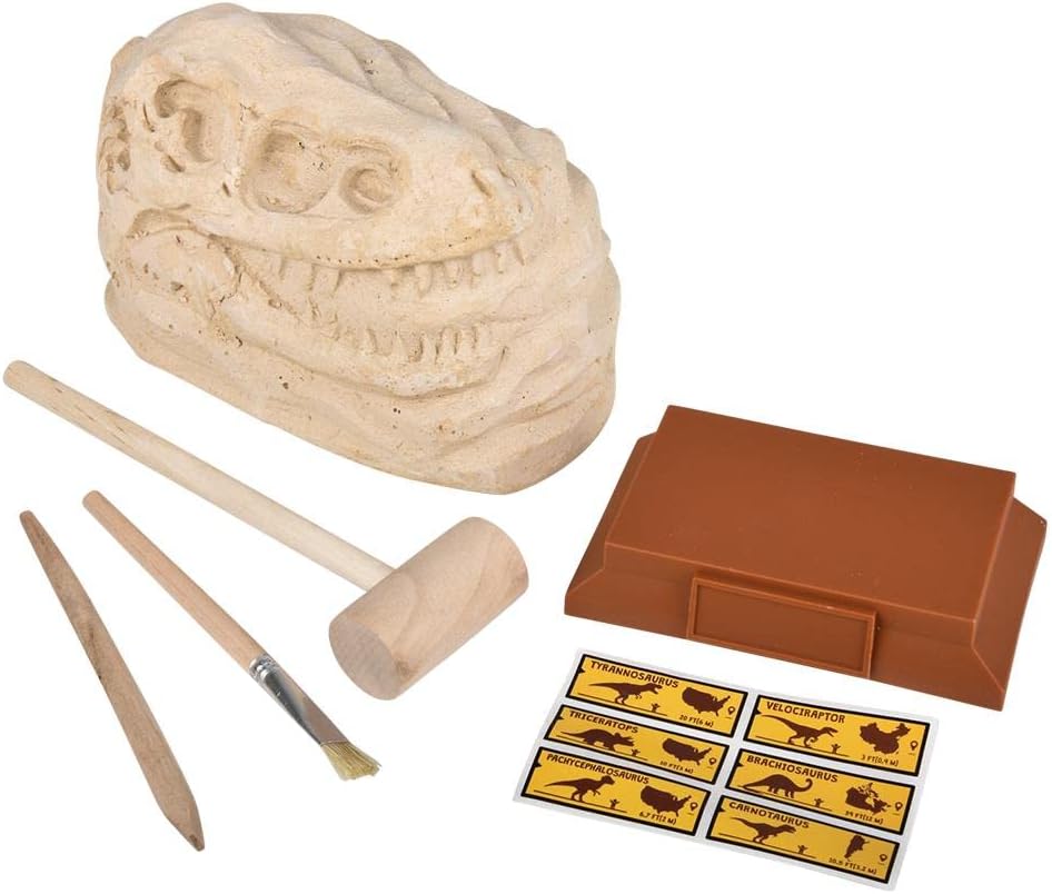 Rhode Island Novelty 6.5" Brachiosaurus Skull Excavation Kit, 1 Piece per Order