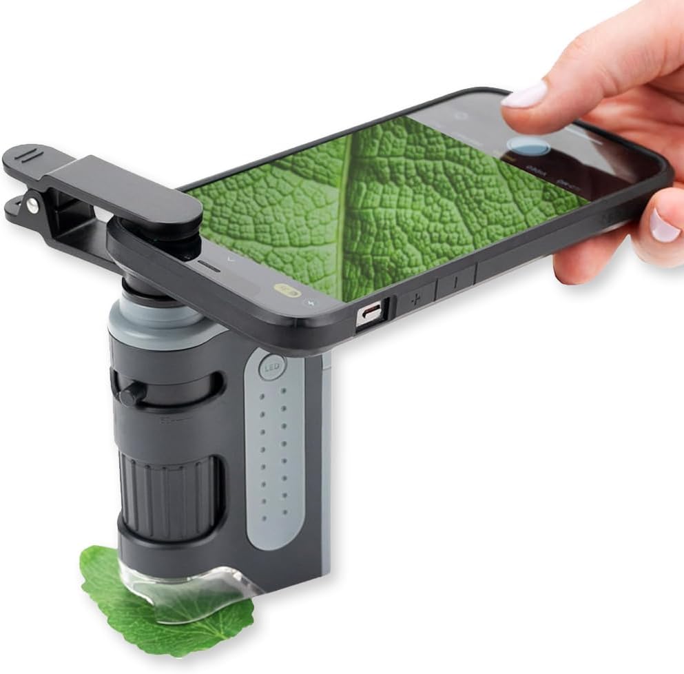 Carson MicroBrite Plus 60x-120x Accurate LED Lighted Pocket Microscope, Portable Educational STEM Toy, Mini Handheld Microscope for Student Science Lab (MM-300) , Grey