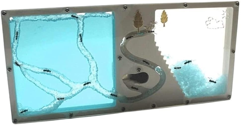 Ant Farm Ant Castle Nest Watching at Home Farm Gifts for Kids Habitat Learning Kit Science Learning Kit