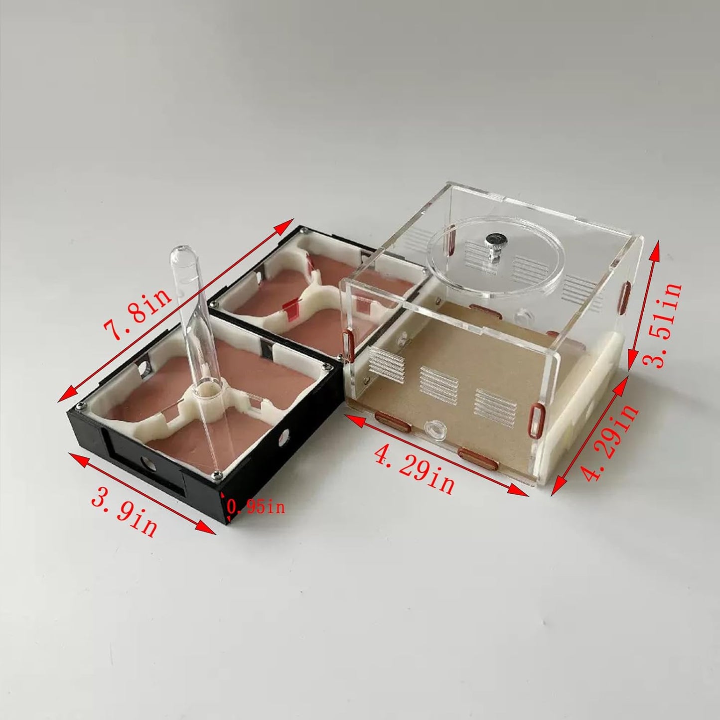 Plaster Test Tube Adult ant Farm Acrylic Transparent ant Observation Behavior Study Live Ants and Queen Education ant nest Small Colony breeding Area Suitable for Children and Enthusiasts Gift