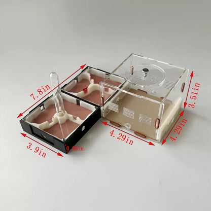 Plaster Test Tube Adult ant Farm Acrylic Transparent ant Observation Behavior Study Live Ants and Queen Education ant nest Small Colony breeding Area Suitable for Children and Enthusiasts Gift