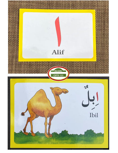 Arabic Alphabet Flash Cards (English and Arabic Edition)