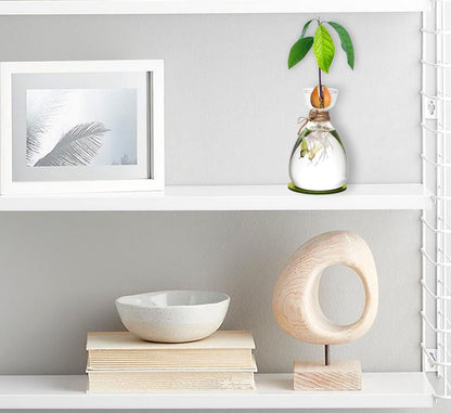 Avocado Seed Vase,DIY Avocado Seed Starter Glass Vase with Absorbable Mat and Butterfly Stickers,Avocado Tree Growingredients Vase for Seed Gardening Gifts Sirensky Brand