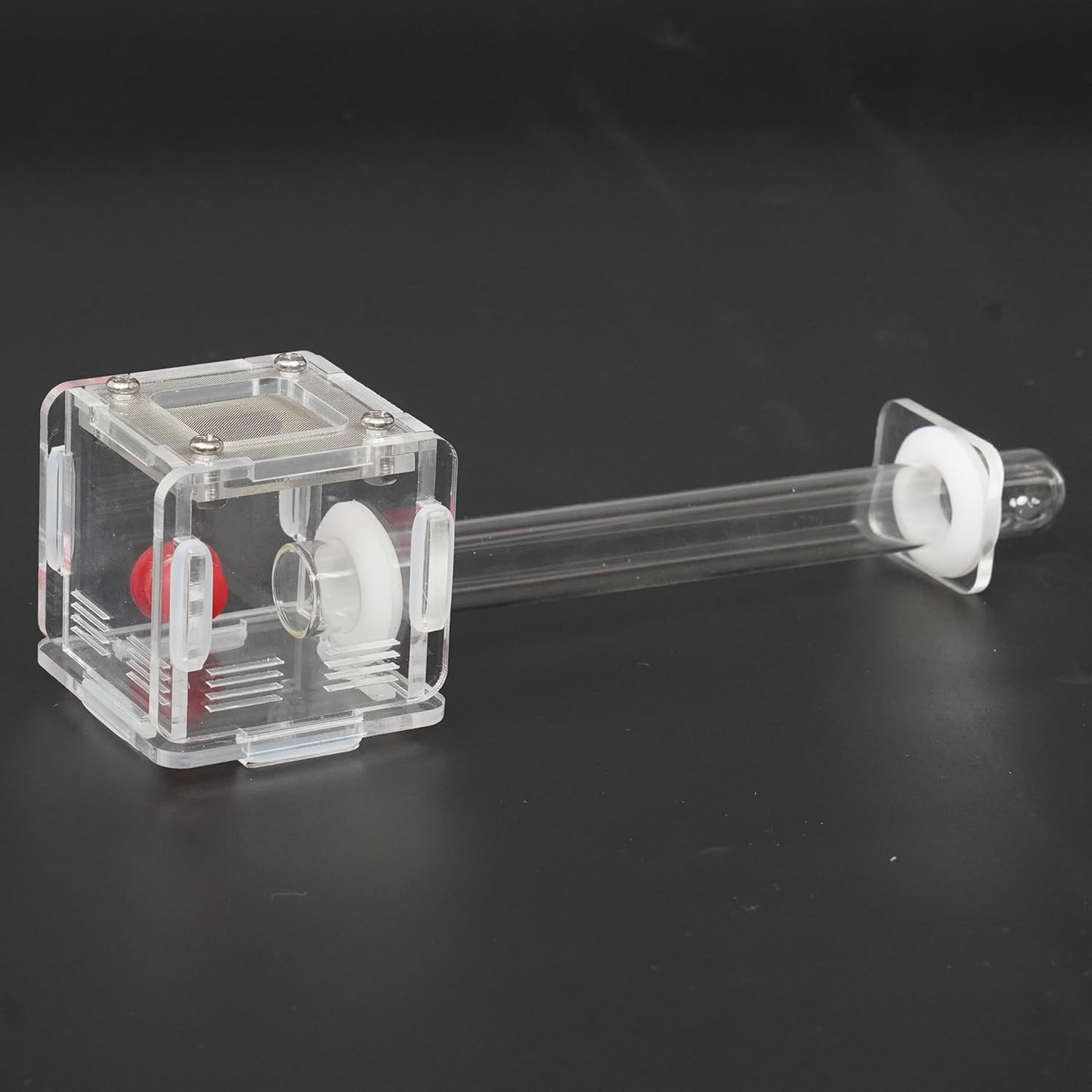 2x2x2 Inch 15mm Acrylic Transparent Ant Nest - Mini Ant Farm, Small Colony Observation