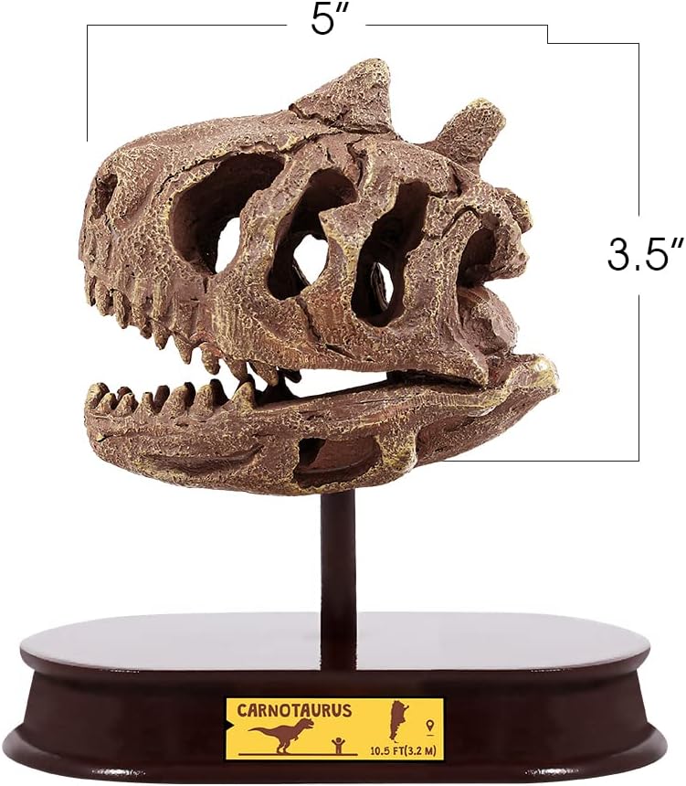 ArtCreativity Dinosaur Excavation Kit for Kids, Brachiosaurus Skull Excavating Set with Fossil Digging Tools and Stand, Fun Science Activity Toy, Educational Dinosaur Gift for Boys and Girls