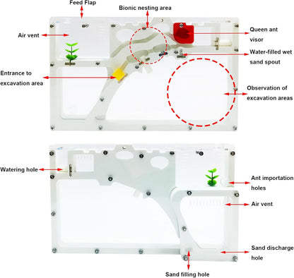 EXBEPE Sand Ant Farm Castle Ant Colony Ecosystem Science Educational Gift Live Ant Habitat to Study Insect Behavior