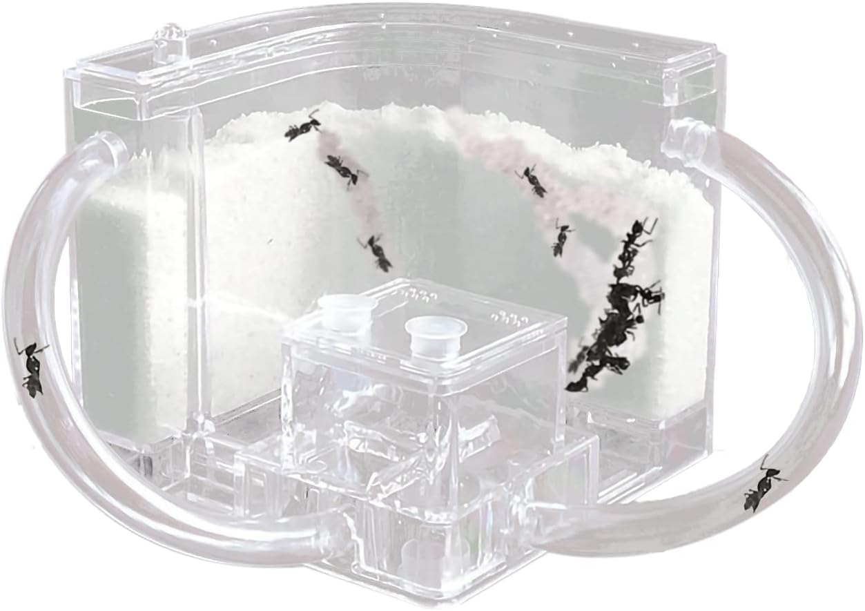 EXBEPE Sand Ant Farm with Connecting Tubes,Live Ant Habitat Colony Ecosystem Terrarium Kit for Kids to Study Insect Behavior