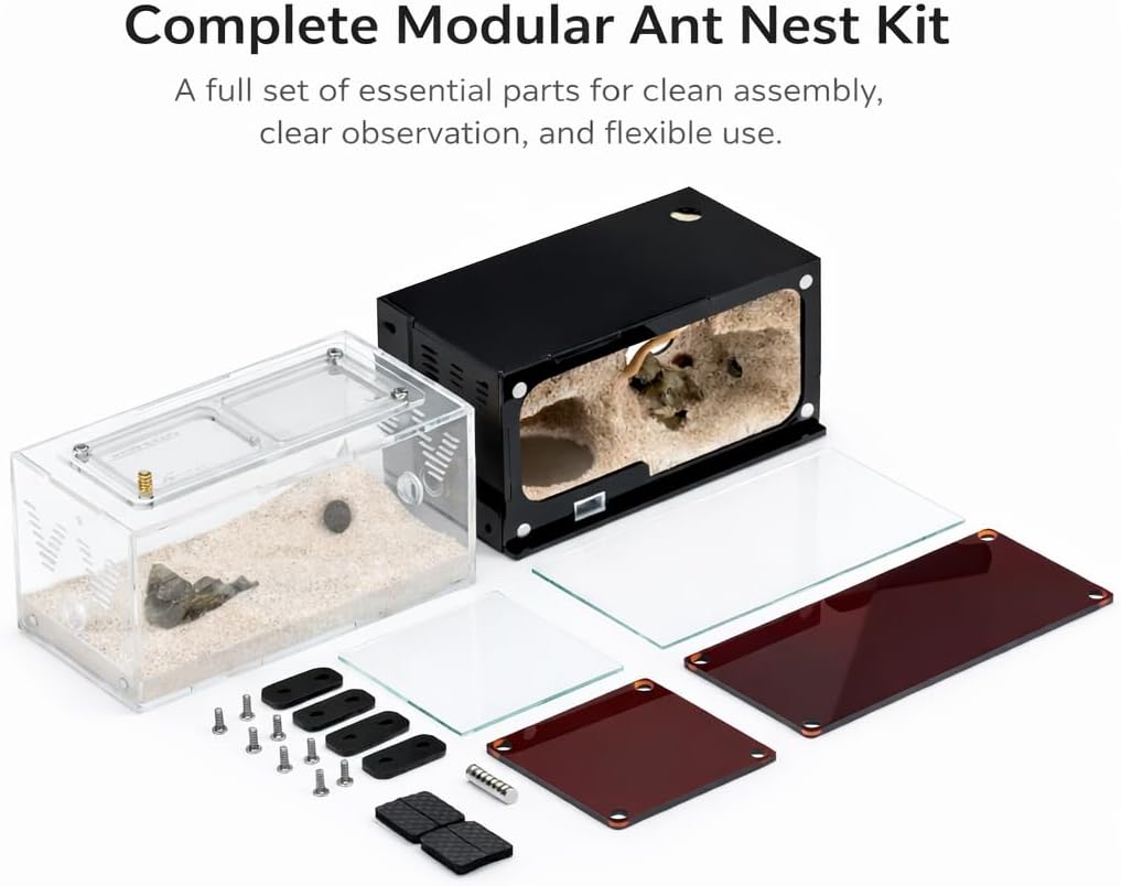 Ant Farm for Adults Study of Ant Behavior Ant Nest ant Terrarium Educational Formicarium for Live Ants and Queen,Cave Style Landscapes
