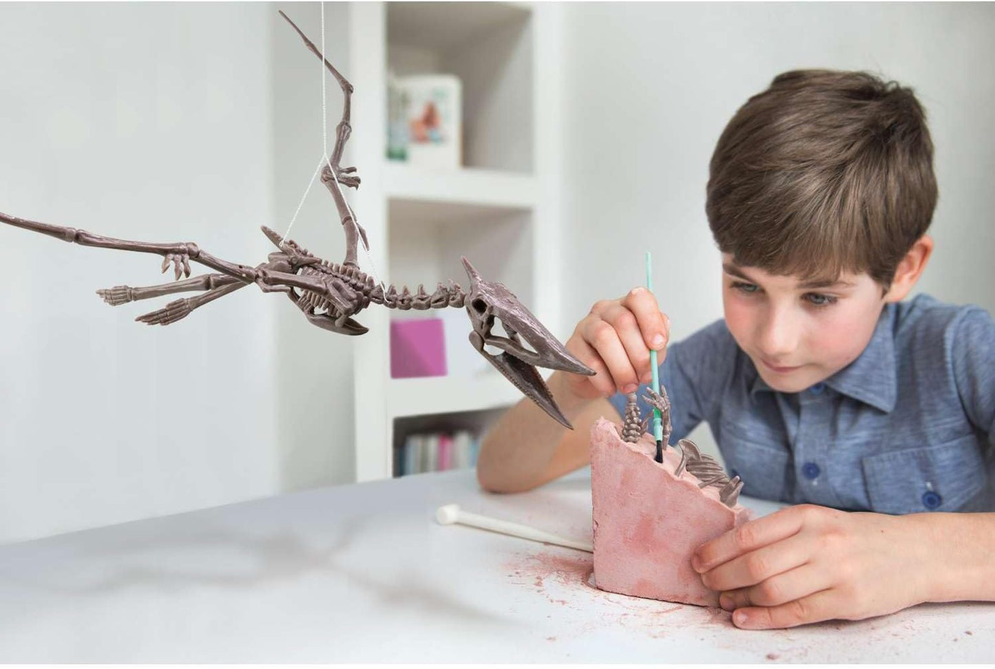 KidzLabs Dig a Pteranodon Skeleton Kit, Fossil Excavation Set, Ages 8+, 1 Piece